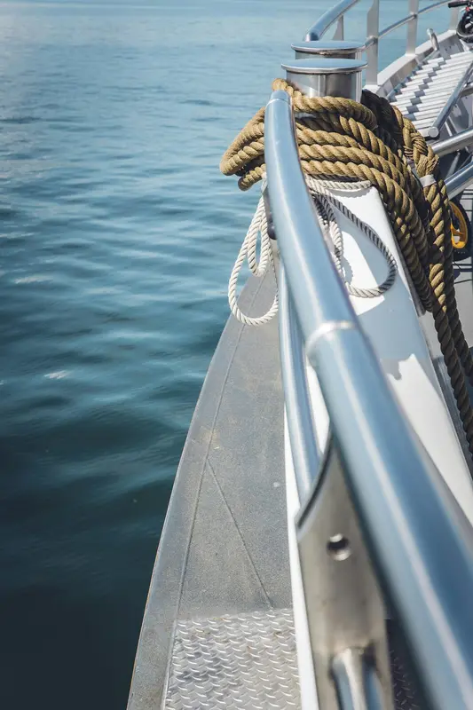 Oceanic.Boats Premium Domain